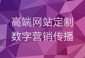 高品质网站建设专家