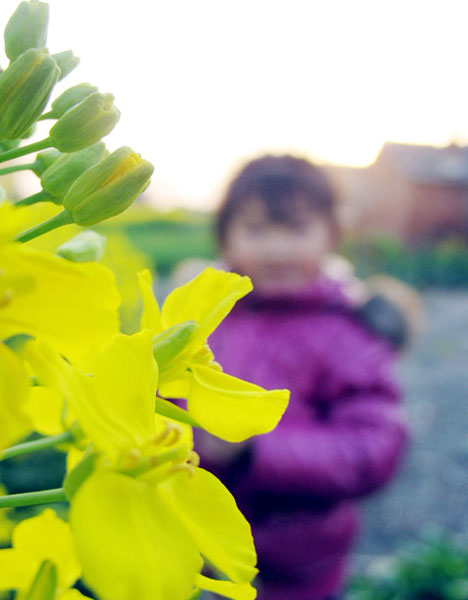 漂亮的小妞和油菜花