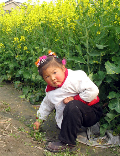 小萌
