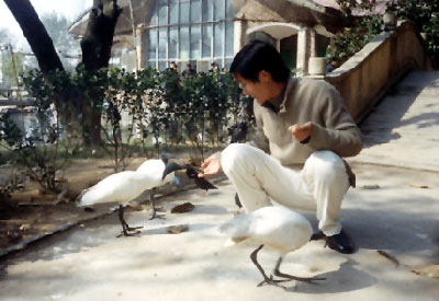 2003年南京某动物园