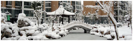 扬州下大雪了